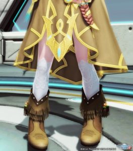 PSO2：男の娘アイテム・アクセサリ５ - 