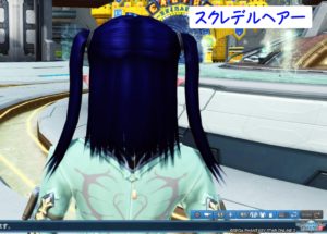 PSO2：スクレデルヘアー・後ろ - 