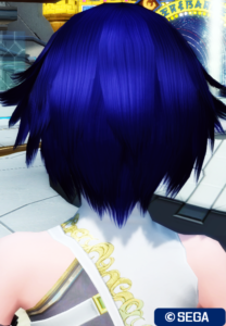 PSO2：フルヘアー - 