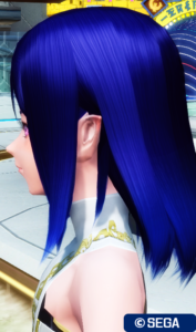 PSO2：RINAヘアー - 