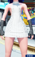 PSO2NGS：男の娘系SS・3.23－2022 - PHANTASY STAR ONLINE 2 