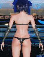pso2_bodyp_nobresarmsleeve_3-153x200 - PSO2NGS：男の娘系SS・08.04－2021
