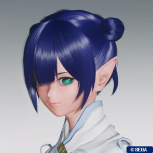 PSO2NGS：デルフィーナヘアー - 