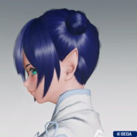 pso2ngs_hair_delfina_3-200x200 - PSO2NGS：男の娘系SS・09.29－2021