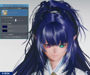 PSO2NGS：ウェットロング - 