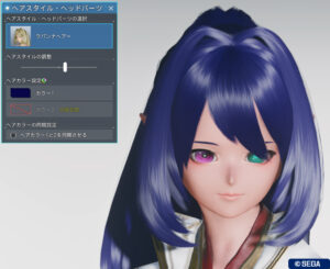 PSO2NGS：ラパンナヘアー - 