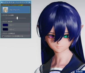 PSO2NGS：ブローデルヘアー（装飾OFF）・正面 - 