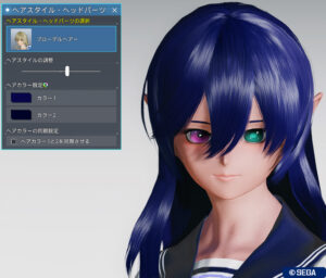 PSO2NGS：ブローデルヘアー（装飾ON）・正面 - 